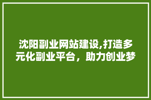 沈阳副业网站建设,打造多元化副业平台，助力创业梦想起飞