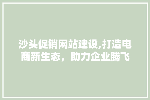 沙头促销网站建设,打造电商新生态，助力企业腾飞