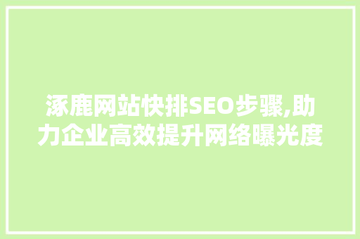 涿鹿网站快排SEO步骤,助力企业高效提升网络曝光度