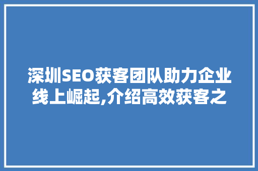 深圳SEO获客团队助力企业线上崛起,介绍高效获客之路