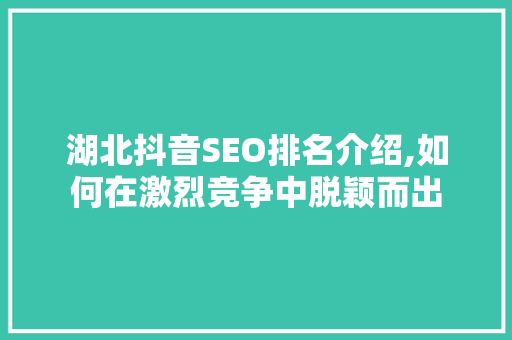 湖北抖音SEO排名介绍,如何在激烈竞争中脱颖而出