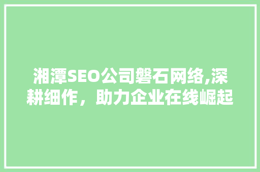 湘潭SEO公司磐石网络,深耕细作，助力企业在线崛起