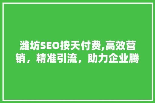 潍坊SEO按天付费,高效营销，精准引流，助力企业腾飞