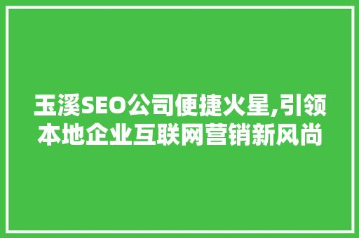 玉溪SEO公司便捷火星,引领本地企业互联网营销新风尚
