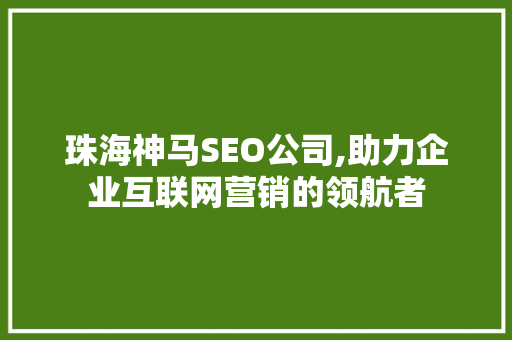 珠海神马SEO公司,助力企业互联网营销的领航者