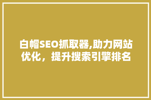 白帽SEO抓取器,助力网站优化，提升搜索引擎排名