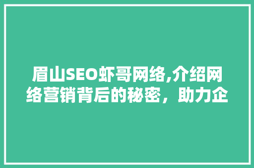 眉山SEO虾哥网络,介绍网络营销背后的秘密，助力企业腾飞