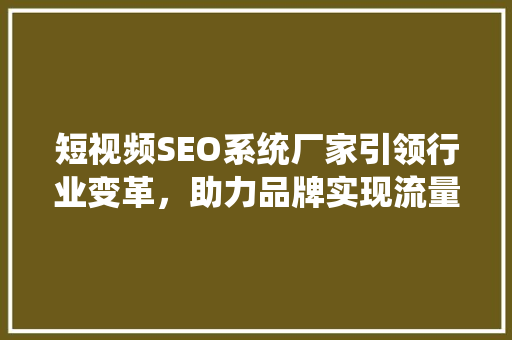 短视频SEO系统厂家引领行业变革，助力品牌实现流量与口碑双丰收