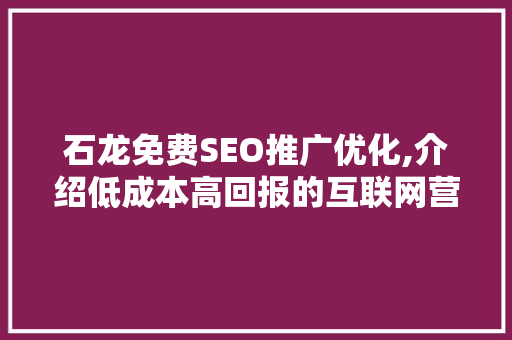 石龙免费SEO推广优化,介绍低成本高回报的互联网营销步骤