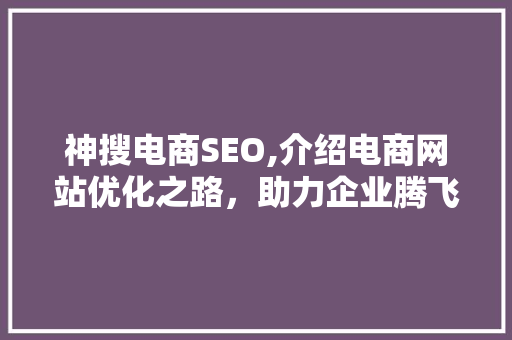 神搜电商SEO,介绍电商网站优化之路，助力企业腾飞