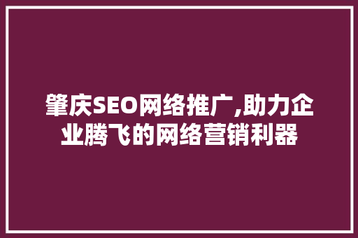 肇庆SEO网络推广,助力企业腾飞的网络营销利器