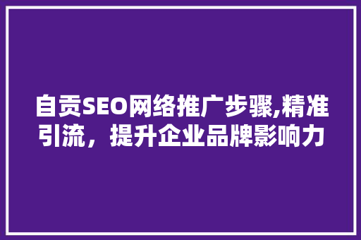 自贡SEO网络推广步骤,精准引流，提升企业品牌影响力