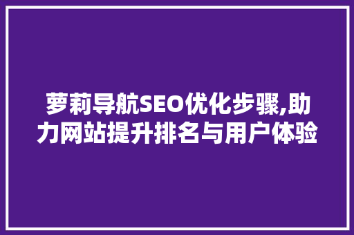 萝莉导航SEO优化步骤,助力网站提升排名与用户体验