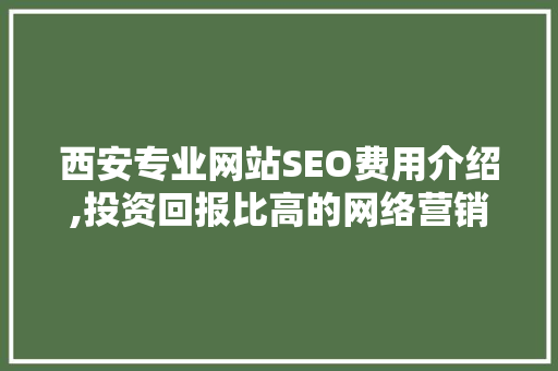 西安专业网站SEO费用介绍,投资回报比高的网络营销步骤