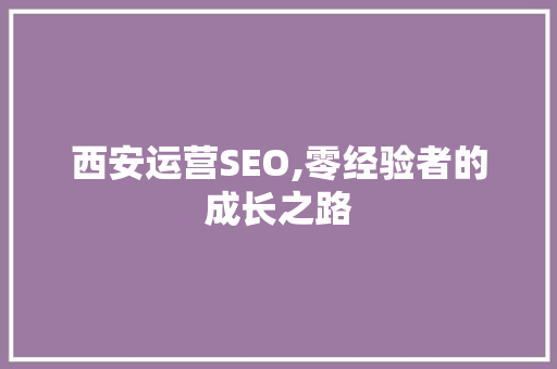 西安运营SEO,零经验者的成长之路