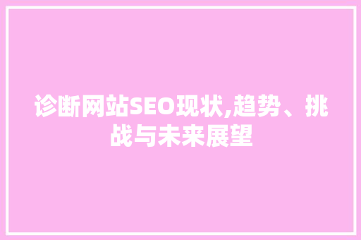 诊断网站SEO现状,趋势、挑战与未来展望
