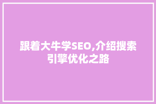 跟着大牛学SEO,介绍搜索引擎优化之路