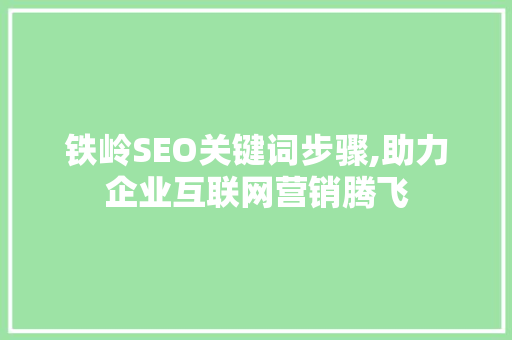 铁岭SEO关键词步骤,助力企业互联网营销腾飞