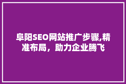 阜阳SEO网站推广步骤,精准布局，助力企业腾飞