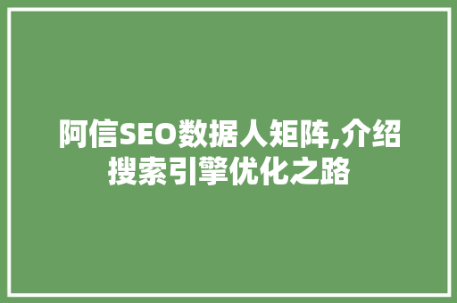 阿信SEO数据人矩阵,介绍搜索引擎优化之路