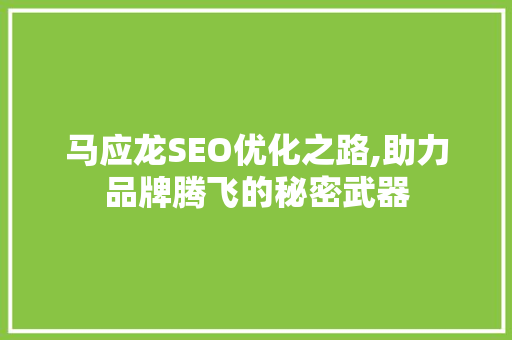 马应龙SEO优化之路,助力品牌腾飞的秘密武器