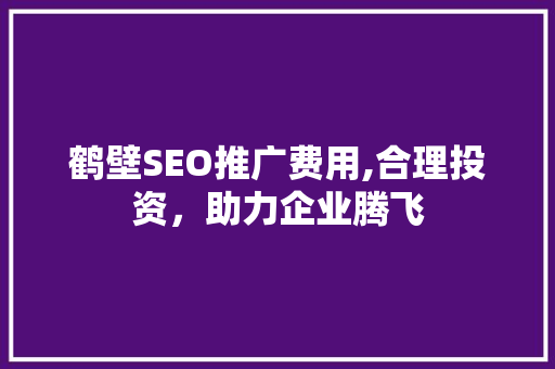 鹤壁SEO推广费用,合理投资，助力企业腾飞