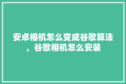 安卓相机怎么变成谷歌算法，谷歌相机怎么安装