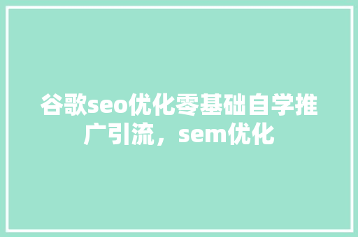 谷歌seo优化零基础自学推广引流，sem优化