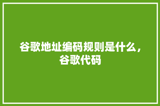 谷歌地址编码规则是什么，谷歌代码