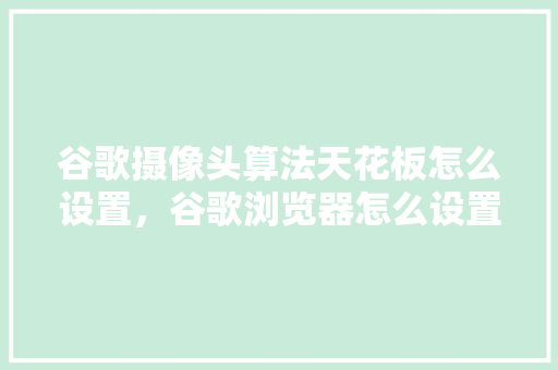 谷歌摄像头算法天花板怎么设置，谷歌浏览器怎么设置允许摄像头
