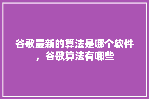 谷歌最新的算法是哪个软件，谷歌算法有哪些