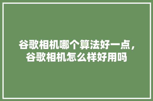 谷歌相机哪个算法好一点，谷歌相机怎么样好用吗