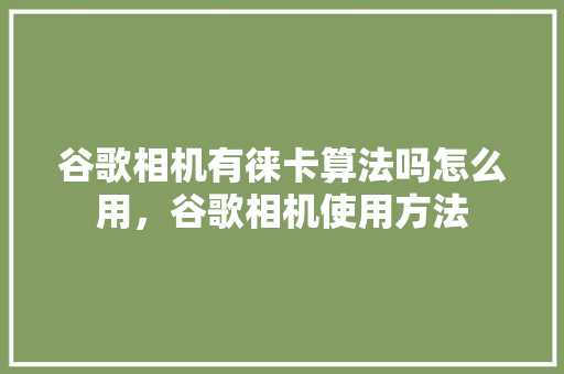 谷歌相机有徕卡算法吗怎么用，谷歌相机使用方法