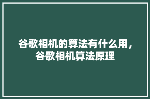 谷歌相机的算法有什么用，谷歌相机算法原理