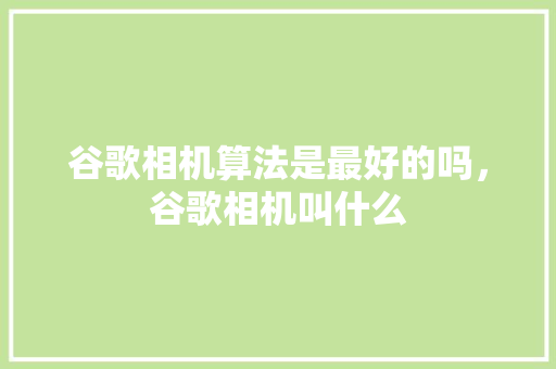 谷歌相机算法是最好的吗，谷歌相机叫什么