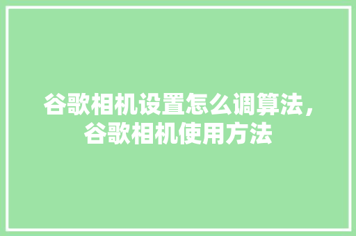 谷歌相机设置怎么调算法，谷歌相机使用方法