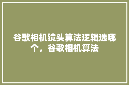 谷歌相机镜头算法逻辑选哪个，谷歌相机算法