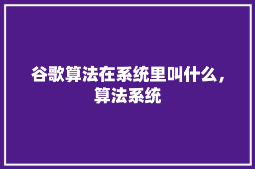 谷歌算法在系统里叫什么，算法系统