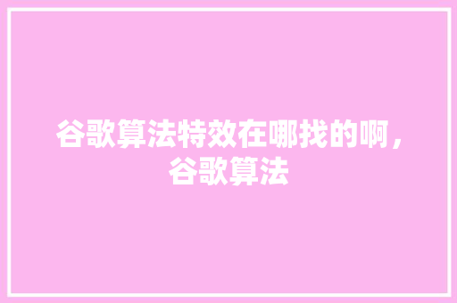 谷歌算法特效在哪找的啊，谷歌算法