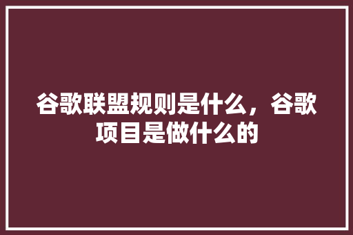 谷歌联盟规则是什么，谷歌项目是做什么的