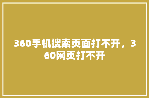 360手机搜索页面打不开，360网页打不开
