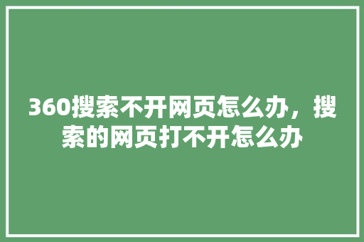 360搜索不开网页怎么办，搜索的网页打不开怎么办