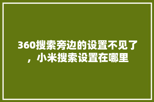 360搜索旁边的设置不见了，小米搜索设置在哪里