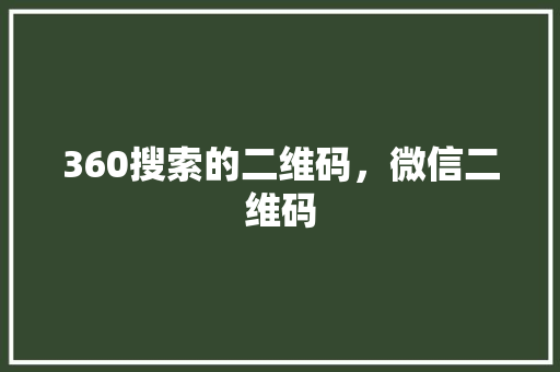 360搜索的二维码，微信二维码