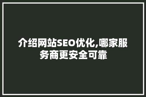 介绍网站SEO优化,哪家服务商更安全可靠