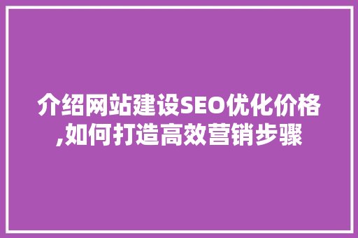 介绍网站建设SEO优化价格,如何打造高效营销步骤