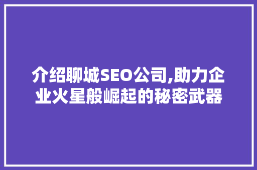 介绍聊城SEO公司,助力企业火星般崛起的秘密武器