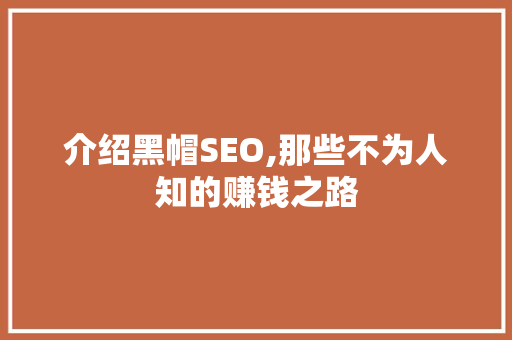 介绍黑帽SEO,那些不为人知的赚钱之路