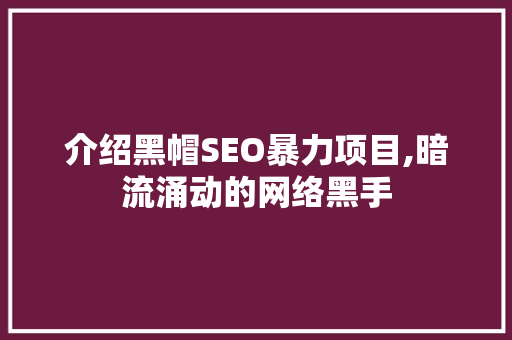 介绍黑帽SEO暴力项目,暗流涌动的网络黑手