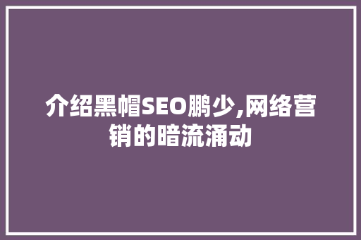 介绍黑帽SEO鹏少,网络营销的暗流涌动